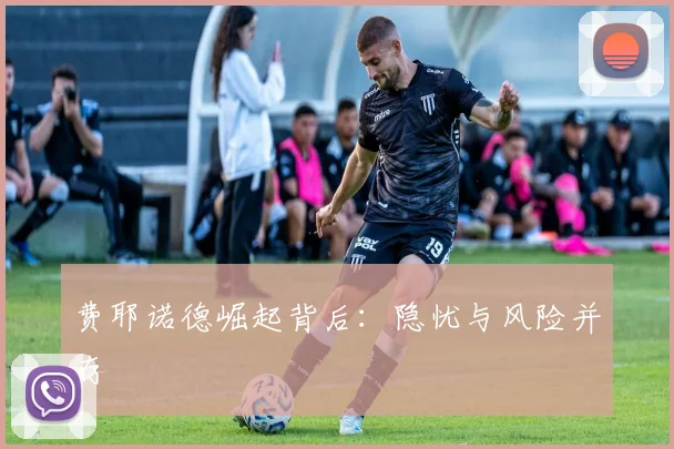 费耶诺德崛起背后：隐忧与风险并存