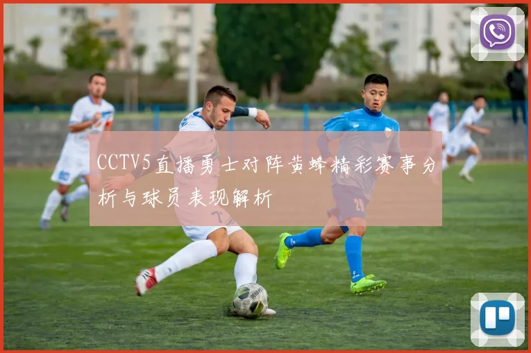 CCTV5直播勇士对阵黄蜂精彩赛事分析与球员表现解析