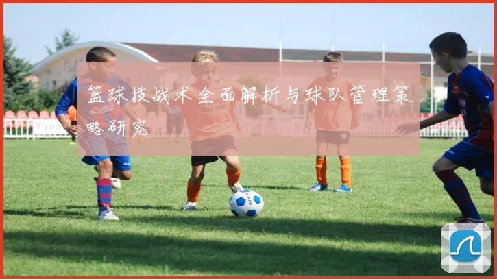 篮球技战术全面解析与球队管理策略研究