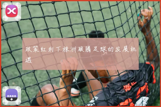 政策红利下株洲狼腾足球的发展机遇