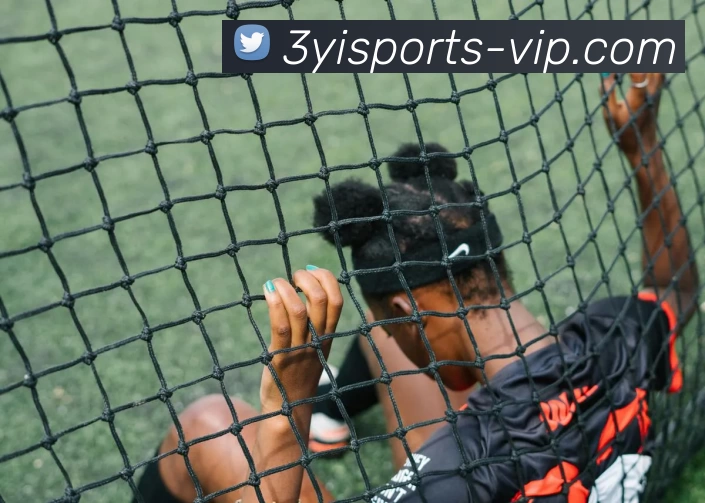 三亿官网APP 体育赛事宣传图